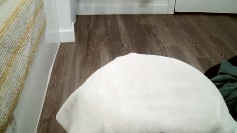 forestnymphpdx online show from October 2025 12:11:02 AM