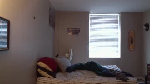 forlorndog online show from April 2026 05:24:01 PM