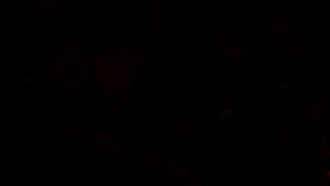 fox hev online show from February 2025 06:39:01 AM