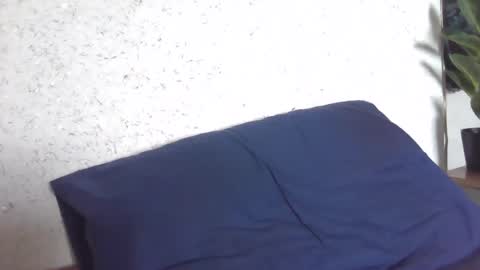 Snapshot of fox_red_lady7 chatting on March 2025 08:11:01 AM fox_red_lady7 online show from March 2025 08:11:01 AM