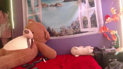 Snapshot of foxy_pet2 chatting on February 2025 11:43:01 PM my name is Sofhia but you can call me any name you like Sir online show from February 2025 11:43:01 PM