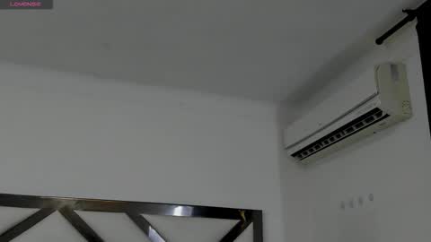 Snapshot of foxyhillx chatting on November 2025 04:29:02 PM foxyhillx online show from November 2025 04:29:02 PM