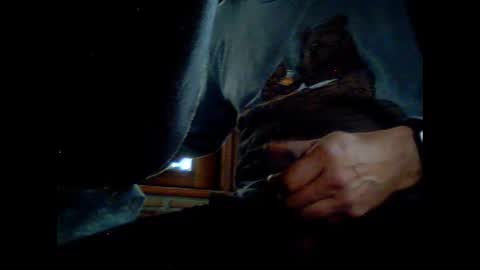 fra  71 online show from March 2026 06:06:01 AM