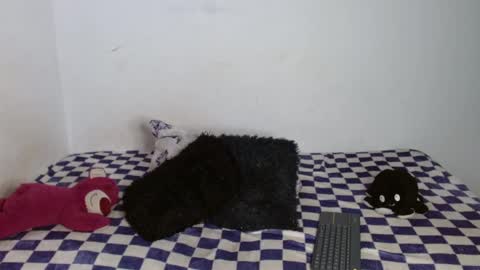 Snapshot of frances_ka chatting on October 2025 12:54:02 AM francesca online show from October 2025 12:54:02 AM