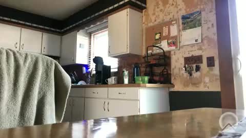 Frank online show from April 2026 12:38:01 PM