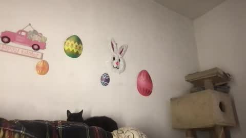 Freddy Foot Balls online show from March 2026 11:09:02 PM