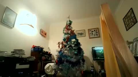 Snapshot of fredlittledick4 chatting on December 2024 07:49:01 PM Keith online show from December 2024 07:49:01 PM