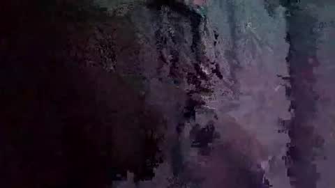 freeliv331874 online show from November 2025 04:35:01 PM