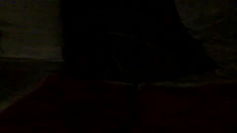 french_dick_20 online show from June 2026 06:06:02 PM