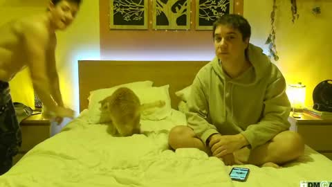 French Horny Bibs online show from January 2025 08:02:02 PM