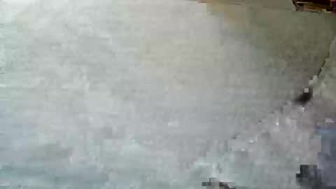 Snapshot of frenchpapalover chatting on December 2024 12:33:01 PM frenchpapalover online show from December 2024 12:33:01 PM