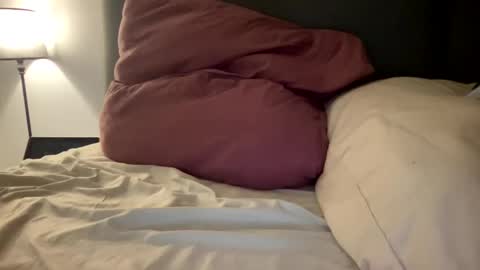 Snapshot of frenchsmoker29 chatting on January 2025 08:21:02 AM frenchsmoker29 online show from January 2025 08:21:02 AM