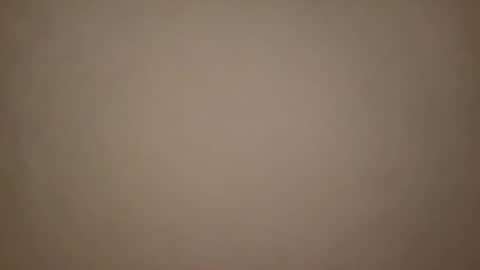 Snapshot of frenchsmoker29 chatting on February 2025 04:05:01 PM frenchsmoker29 online show from February 2025 04:05:01 PM