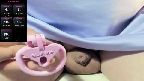 Meadow online show from December 2024 01:11:02 PM