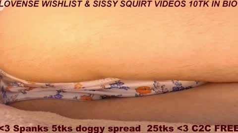 Meadow online show from February 2026 11:18:01 AM