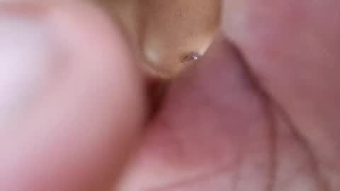 Phantom online show from February 2025 08:47:01 PM