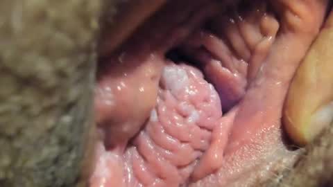 Snapshot of frumcake chatting on January 2025 01:10:01 AM FrumCake online show from January 2025 01:10:01 AM