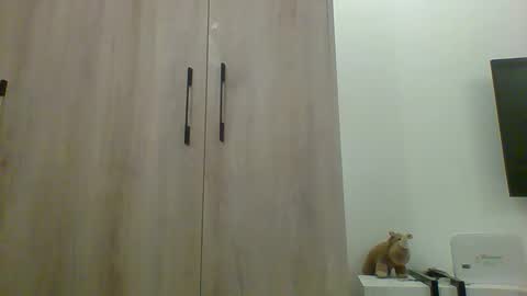 Prince online show from November 2025 10:36:01 AM