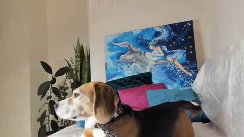 Vicky online show from January 2025 01:21:02 AM