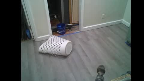 fuckwithmeonetime01 online show from February 2026 10:33:02 AM