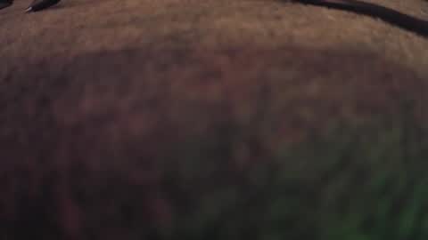 fumymo online show from January 2026 08:22:01 PM