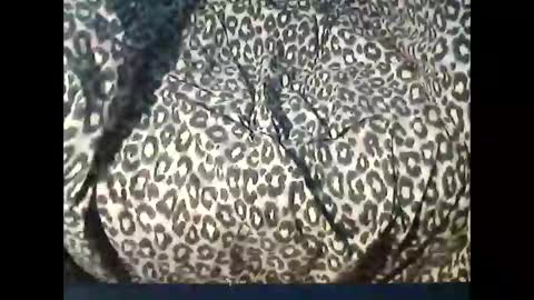 funcyman3 online show from April 2026 04:03:01 PM