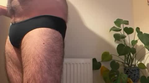 fungiphil online show from February 2026 01:47:01 PM