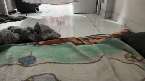 Snapshot of gab021593 chatting on January 2026 01:57:02 PM gab021593 online show from January 2026 01:57:02 PM