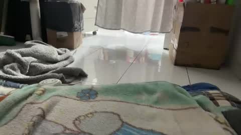 Snapshot of gab021593 chatting on January 2026 03:38:01 PM gab021593 online show from January 2026 03:38:01 PM