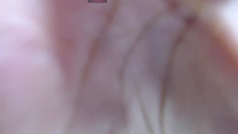 Snapshot of gabriela_morales01 chatting on December 2024 05:31:02 AM .  online show from December 2024 05:31:02 AM