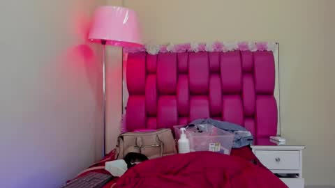 Snapshot of gabrielaa_01 chatting on February 2025 05:31:01 PM Gaby Im on vacation see you on November 25 online show from February 2025 05:31:01 PM