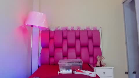 Snapshot of gabrielaa_01 chatting on February 2025 02:55:02 PM Gaby Im on vacation see you on November 25 online show from February 2025 02:55:02 PM