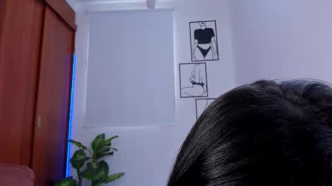    online show from February 2026 07:51:02 PM