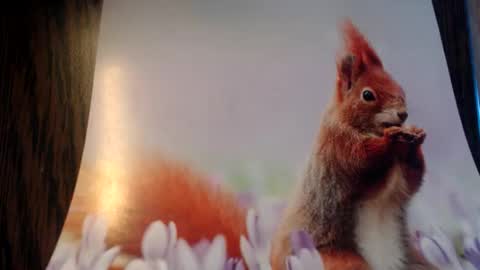 galera100 online show from March 2026 08:31:02 AM