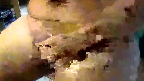 Stutzen online show from September 2025 08:05:01 AM