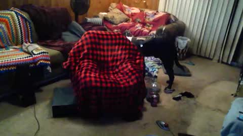 gamerfiend420 online show from October 2025 01:53:02 AM