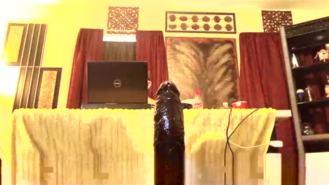 Snapshot of gatewaylaptop2019 chatting on March 2025 03:37:02 PM gatewaylaptop2019 online show from March 2025 03:37:02 PM