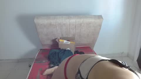 Snapshot of gatita13333321 chatting on January 2025 01:42:02 PM gatita13333321 online show from January 2025 01:42:02 PM