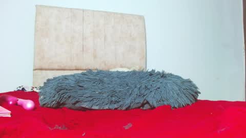 Snapshot of gatita13333321 chatting on January 2025 05:56:01 AM gatita13333321 online show from January 2025 05:56:01 AM