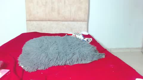 Snapshot of gatita13333321 chatting on January 2025 06:05:02 AM gatita13333321 online show from January 2025 06:05:02 AM