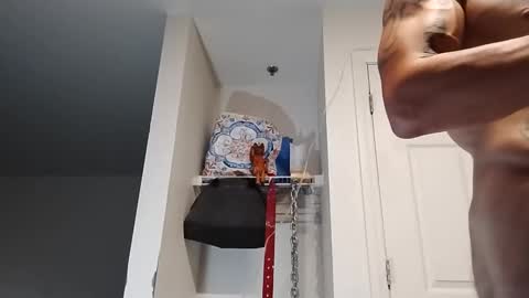 Snapshot of geekedoutlabs chatting on September 2025 09:53:02 AM Zanecubano online show from September 2025 09:53:02 AM