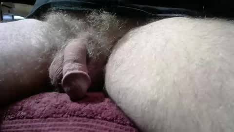 gemini_2 online show from January 2026 02:55:01 PM