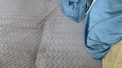 Melissa online show from February 2026 11:29:01 AM