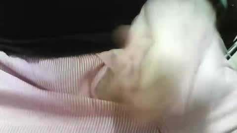 germandaddydick1 online show from October 2025 08:03:02 PM