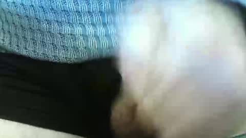 germandaddydick1 online show from June 2026 03:29:01 PM