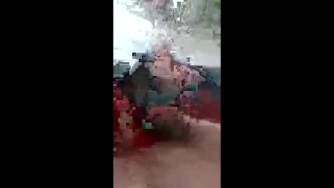 Snapshot of gethem69245498 chatting on December 2025 10:31:01 AM gethem69245498 online show from December 2025 10:31:01 AM