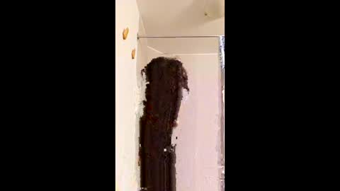 ggggu495826 online show from February 2026 02:32:02 PM