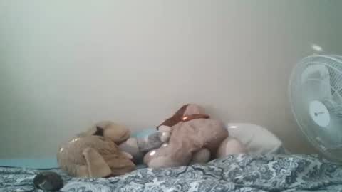 ghansberger2 online show from March 2026 11:44:01 PM