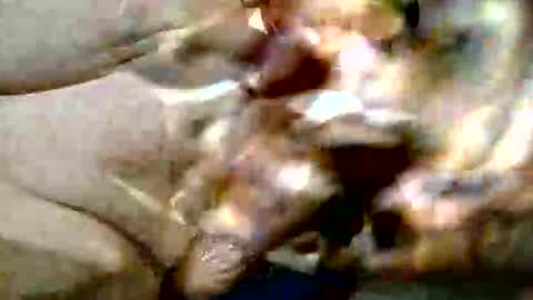 ghost1805 online show from October 2025 09:16:01 PM