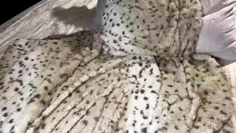 Snapshot of giaa4everr chatting on November 2025 11:49:02 PM Giaa4ever online show from November 2025 11:49:02 PM